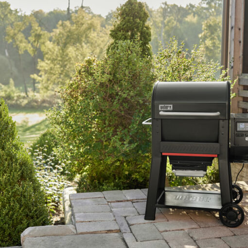 The Ultimate Overview Of The New Weber Traveler Portable Gas Grill ...