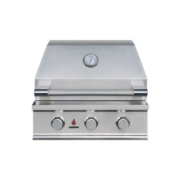 TrueFlame E Series 25 Inch Gas Grill