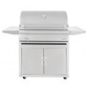 blaze charcoal grill