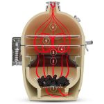 Kamado Joe SloRoller Inside Graphic