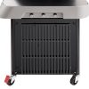 Weber Genesis Grate Panel Hooks